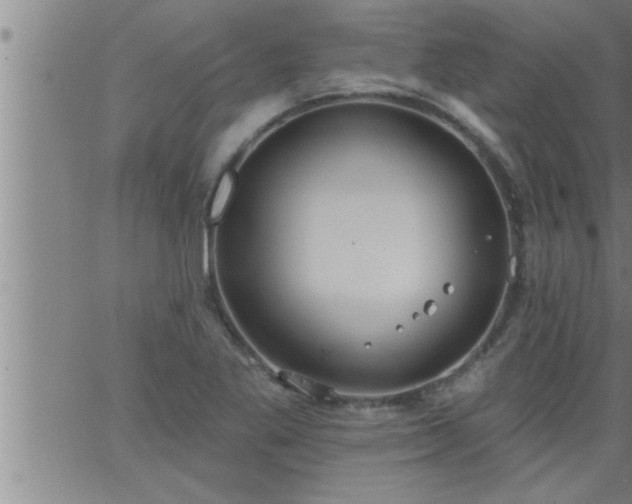 X0000063511269200601271801