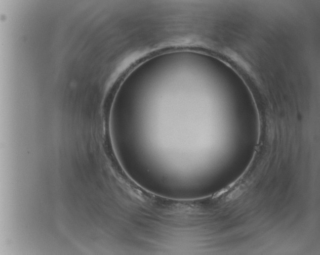 X0000063511270200601271801