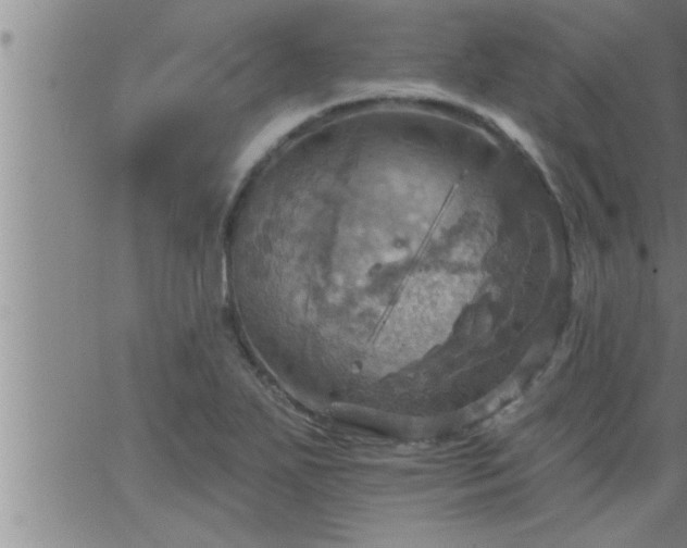 X0000063511271200601271801