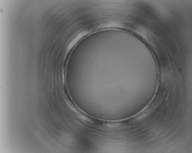 X0000063511274200601271801