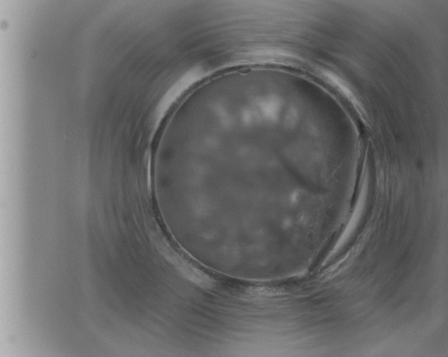 X0000063511275200601271801