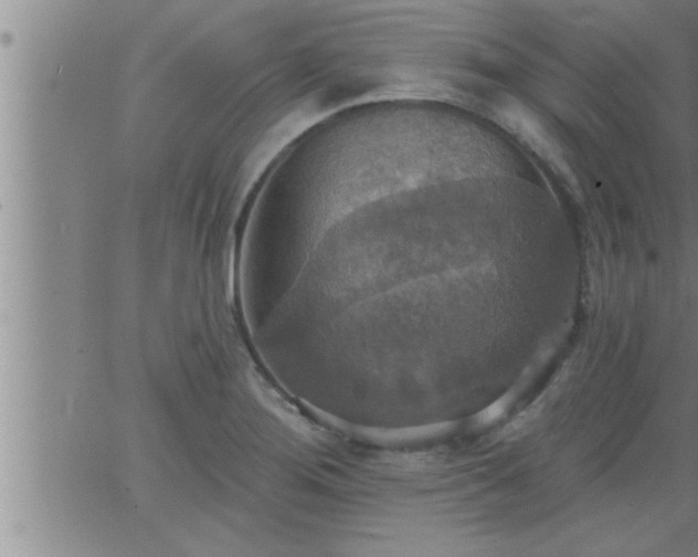 X0000063511276200601271801