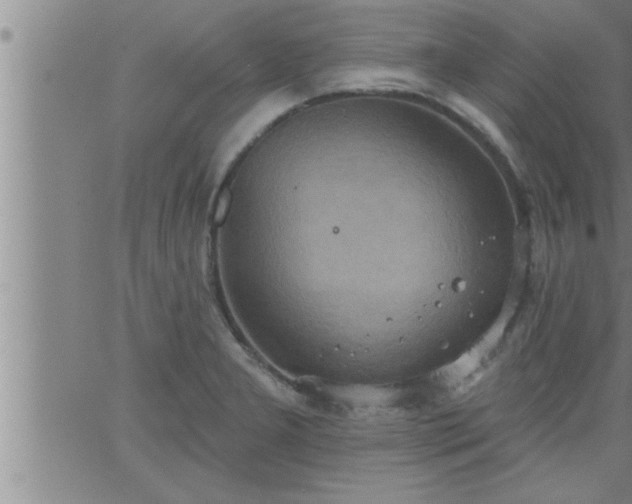 X0000063511277200601271801