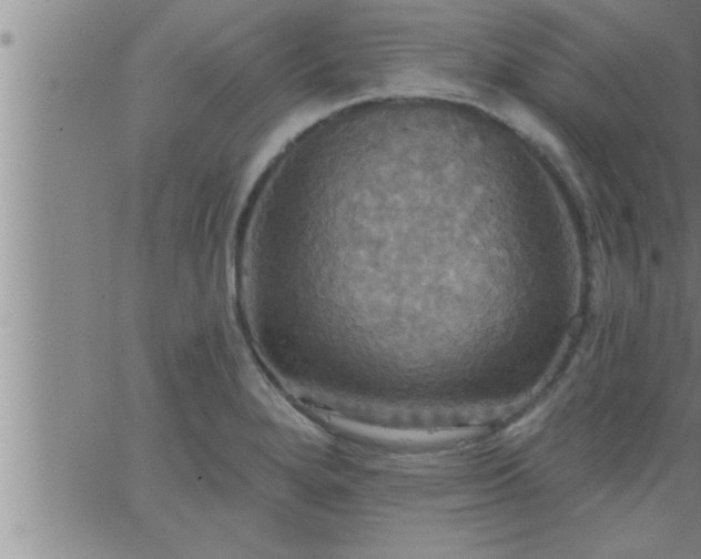 X0000063511280200601271801