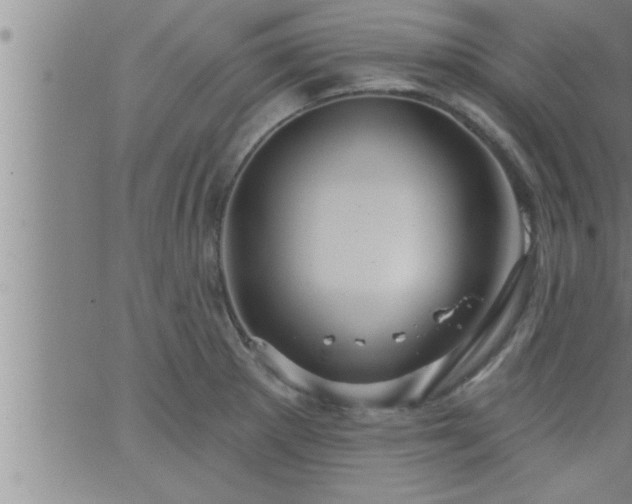 X0000063511281200601271801