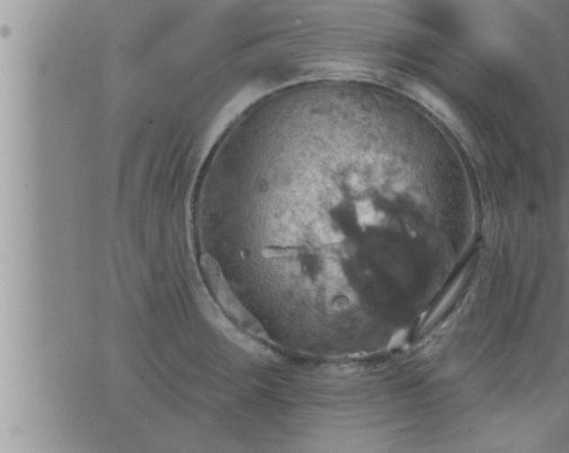 X0000063511283200601271801