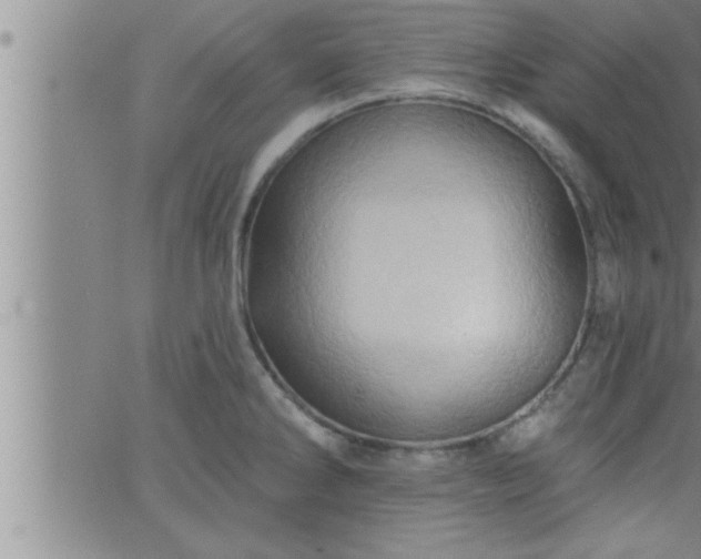 X0000063511286200601271801