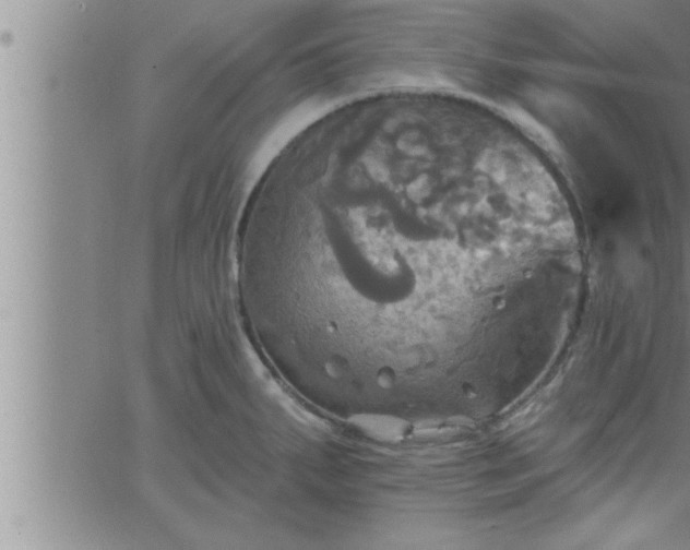 X0000063511287200601271801