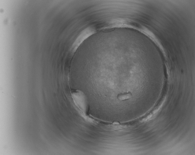 X0000063511289200601271801