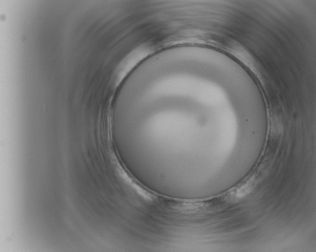 X0000063511290200601271801