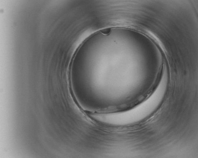 X0000063511291200601271801