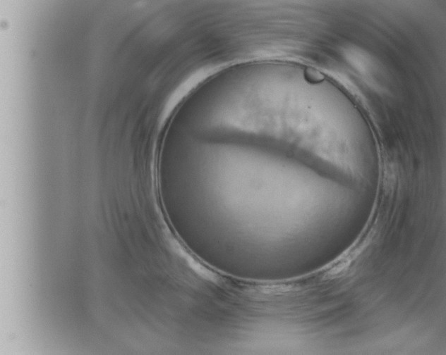 X0000063511294200601271801