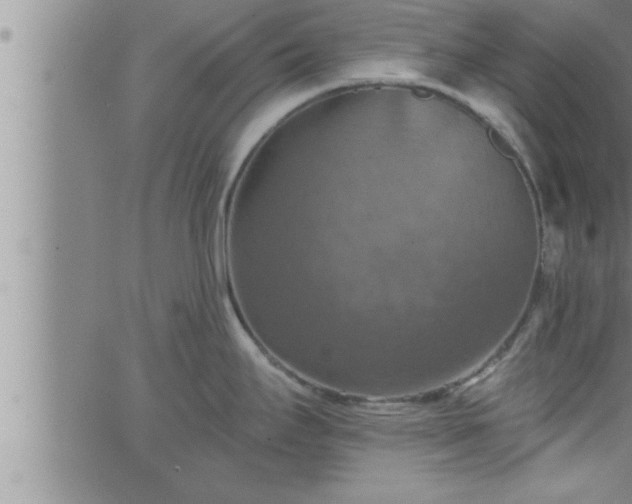 X0000063511295200601271801