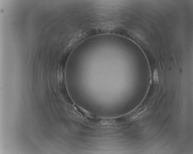 X0000063511299200601271800