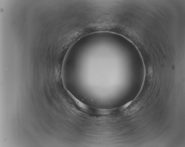 X0000063511300200601271800