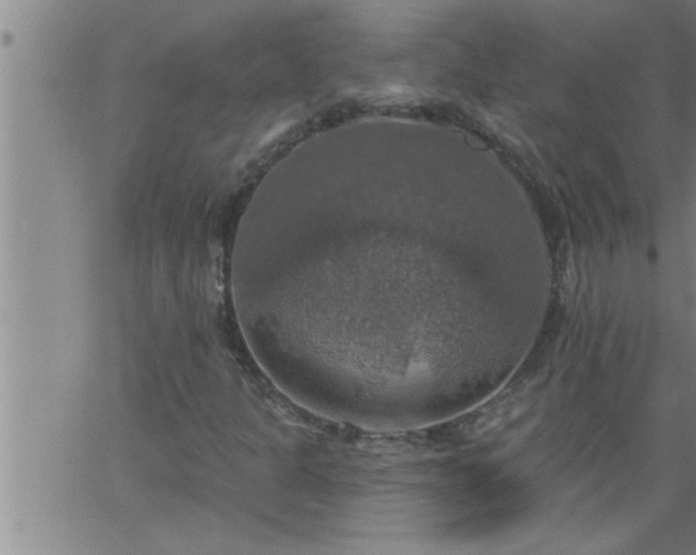 X0000063511301200601271800