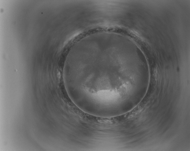 X0000063511302200601271800