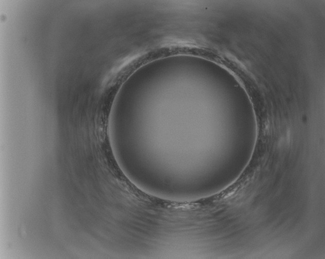 X0000063511303200601271800