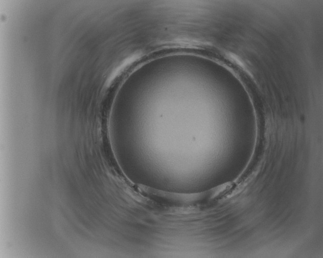 X0000063511307200601271800