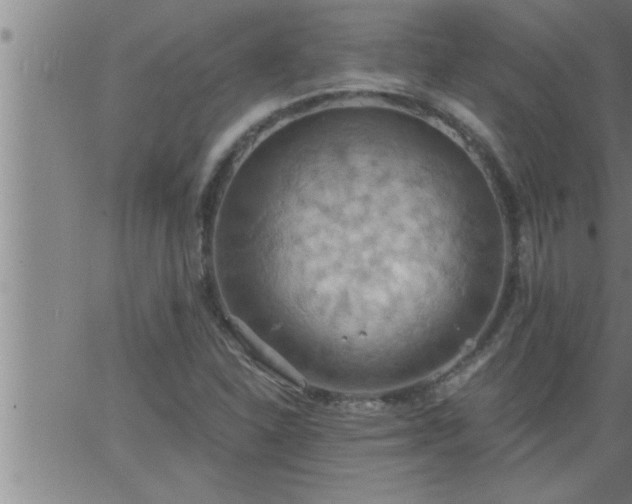 X0000063511310200601271800