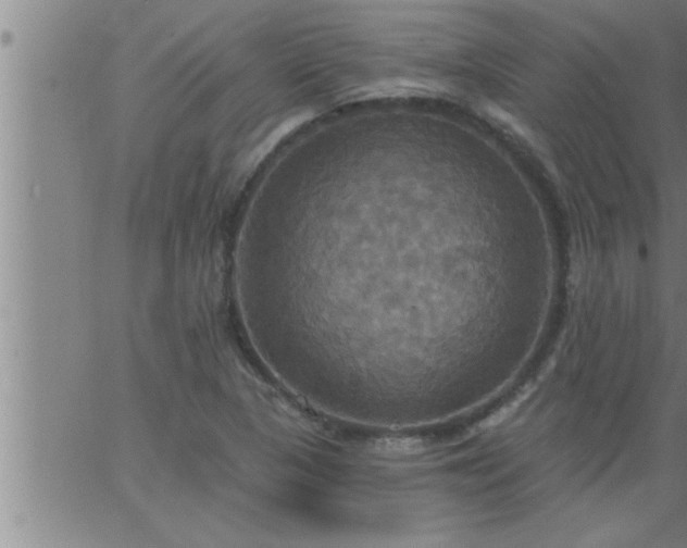 X0000063511313200601271800