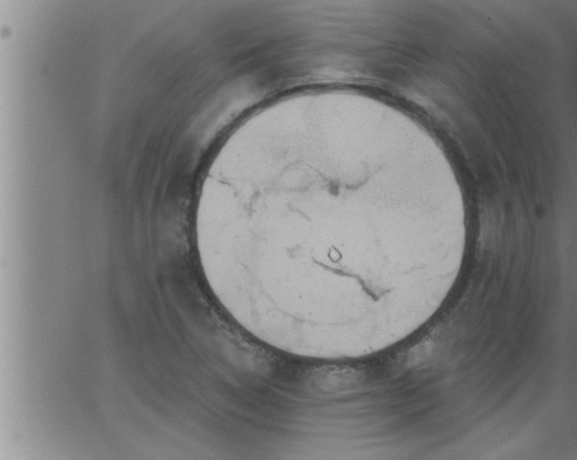 X0000063511314200601271800