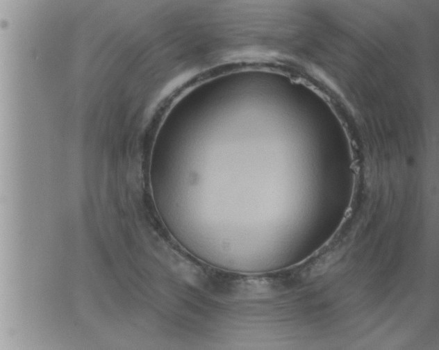 X0000063511315200601271801