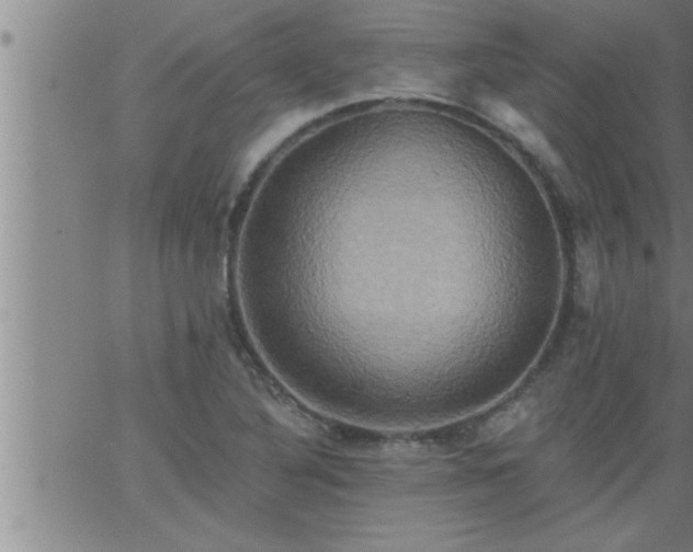 X0000063511316200601271801