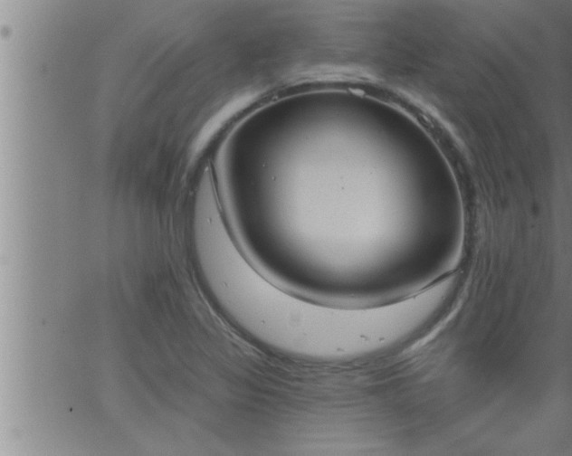 X0000063511317200601271801