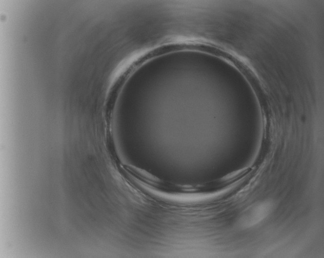 X0000063511319200601271801