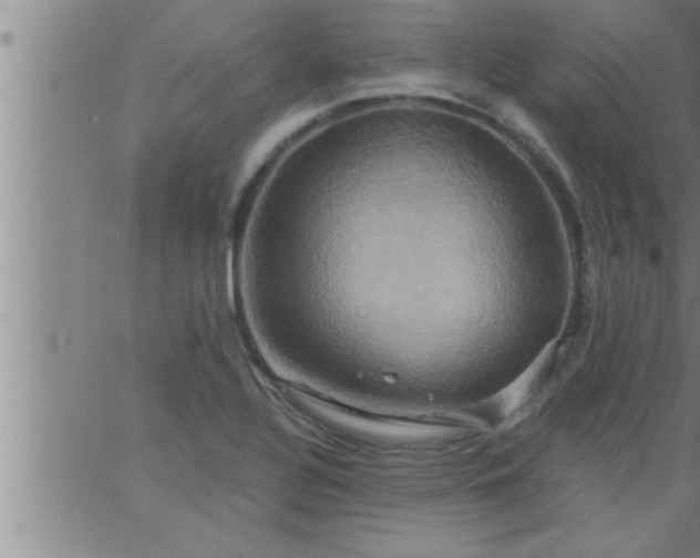 X0000063511320200601271801