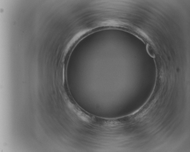 X0000063511323200601271801