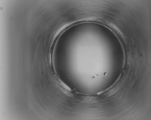 X0000063511324200601271801