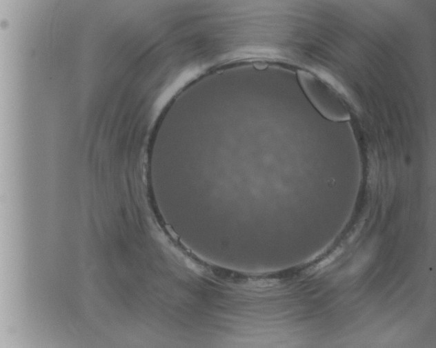 X0000063511325200601271801