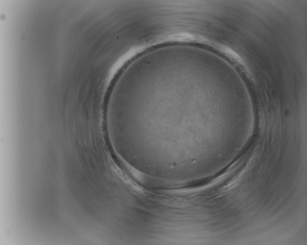 X0000063511326200601271801