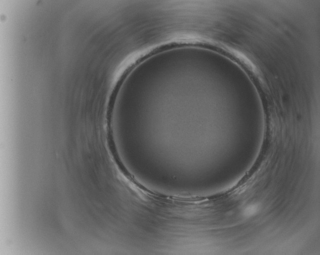 X0000063511327200601271801