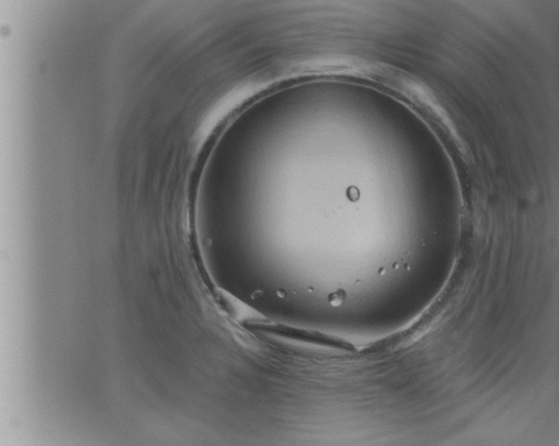 X0000063511328200601271801