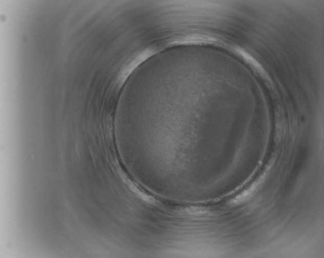 X0000063511329200601271801