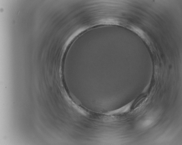 X0000063511331200601271801