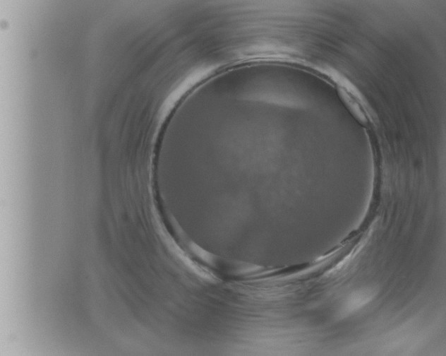 X0000063511333200601271801