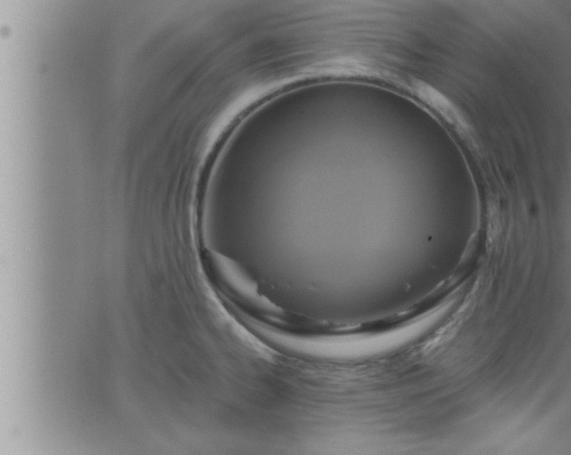 X0000063511334200601271801