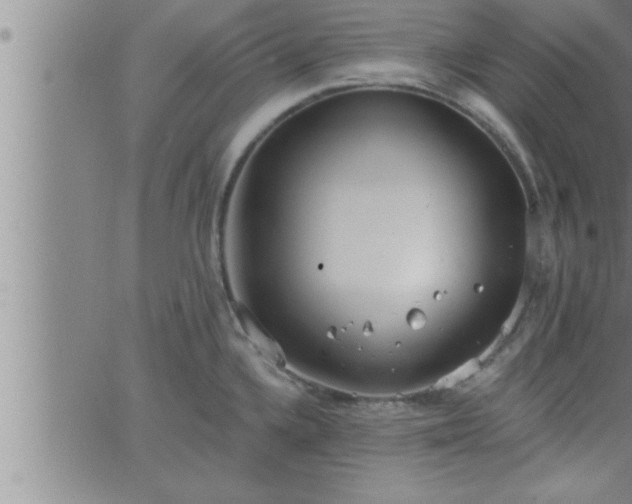 X0000063511336200601271801