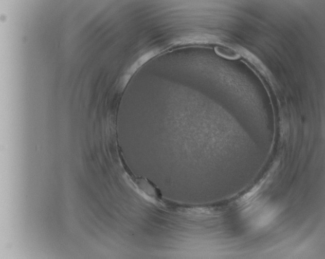 X0000063511337200601271801