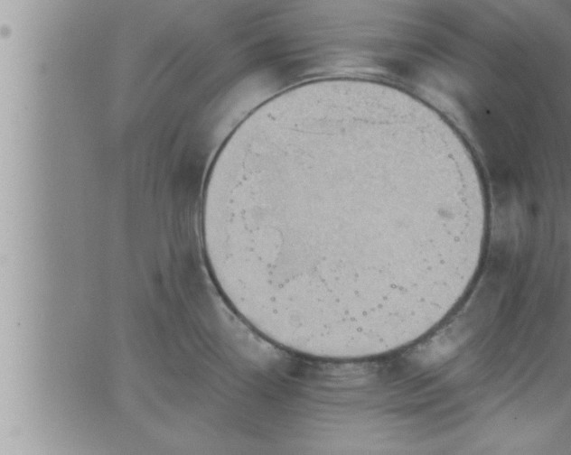 X0000063511338200601271801