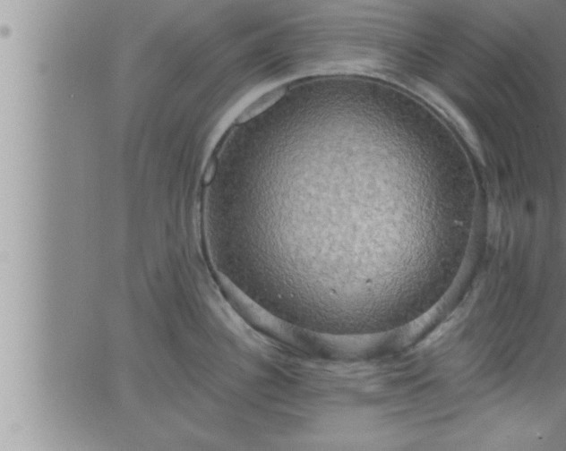 X0000063511340200601271801