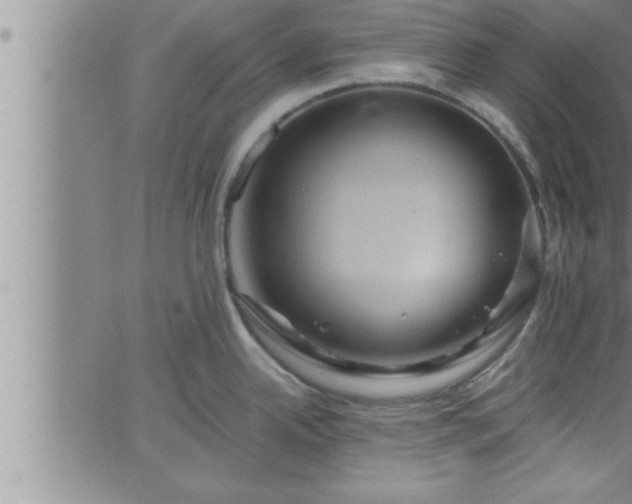 X0000063511342200601271801