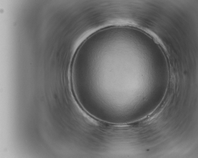 X0000063511343200601271801