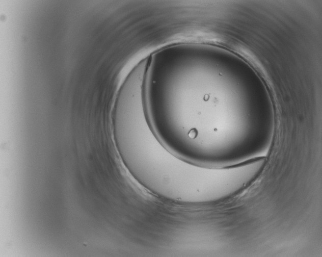 X0000063511344200601271801