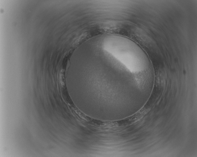 X0000063511346200601271800