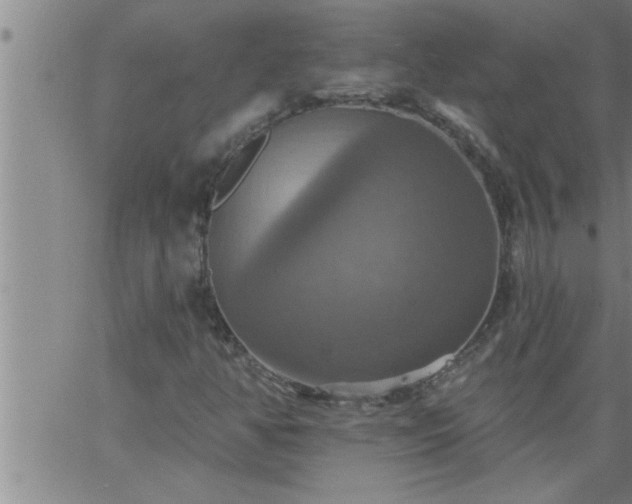 X0000063511350200601271800